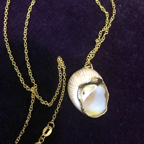 Vintage Shell 14k Gold plate Necklace - Picture 2 of 5